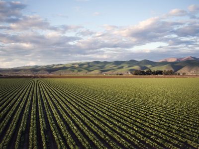An aerial shot of a beautiful agricultural green field near mountains